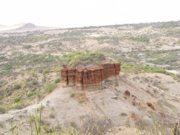 serengeti_7_20160224_1796730933