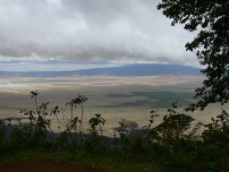 serengeti_8_20160224_1485171507