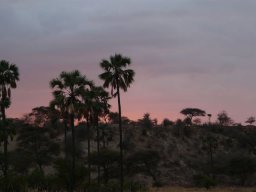 sunsets_4_20160224_1712669503