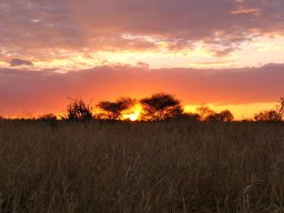 tarangire_10_20160224_1067965624